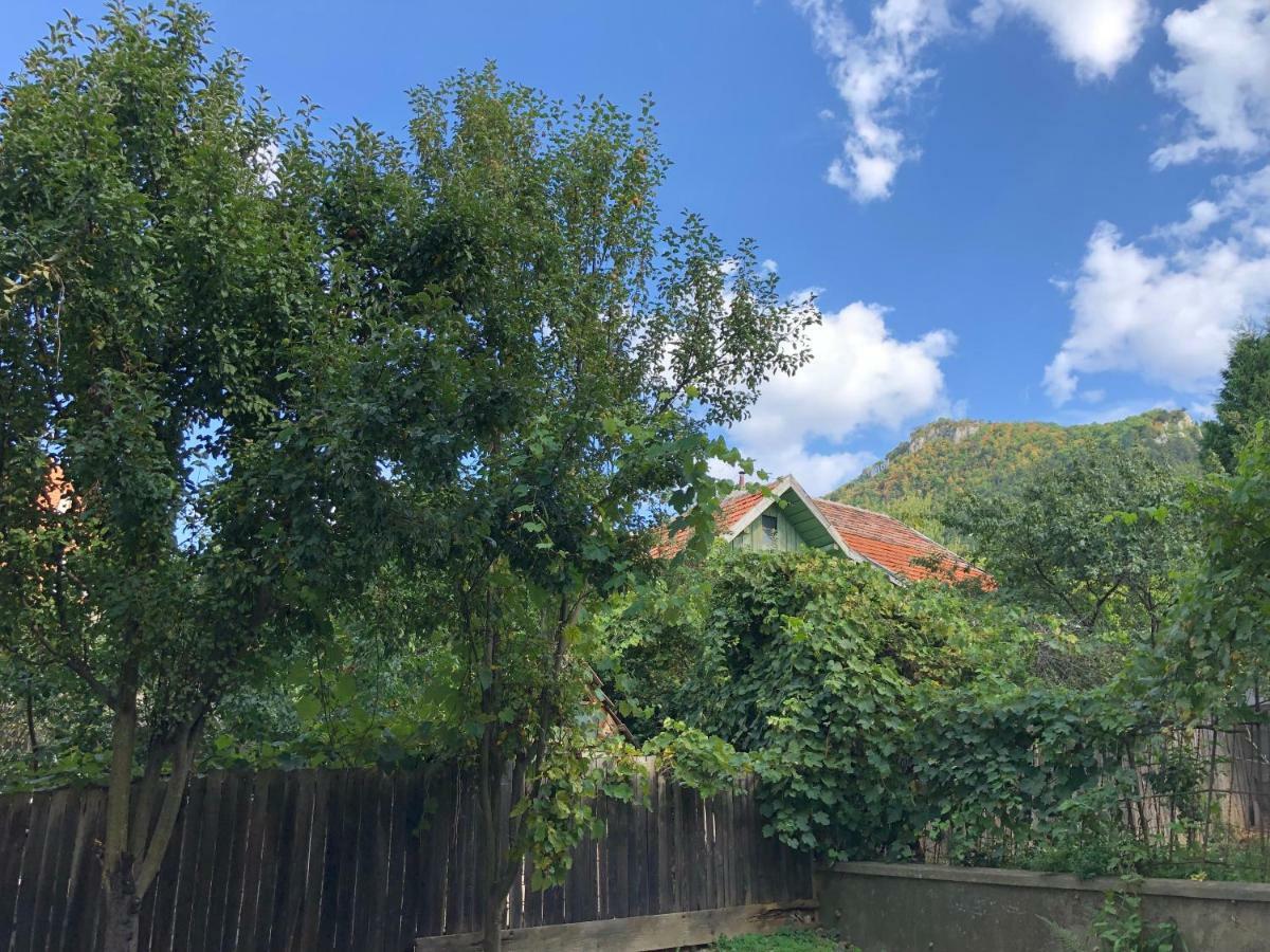 Schei Apartment 2 บราชอฟ ภายนอก รูปภาพ